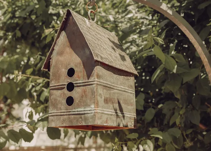 Karargah * אורלה